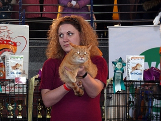 click for enlarge 1024 X 768 457,4 Kb picture