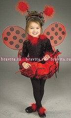 click for enlarge 271 X 450  34,6 Kb picture