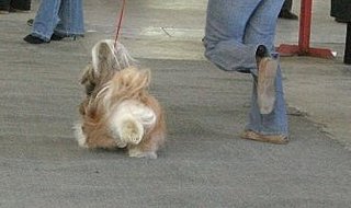 click for enlarge 335 X 199 12,9 Kb picture