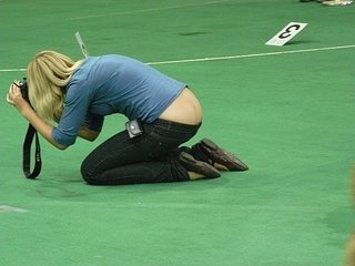 click for enlarge 600 X 450 39,0 Kb picture