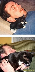 click for enlarge 292 X 604 66,0 Kb picture