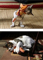 click for enlarge 431 X 604 84,0 Kb picture