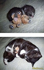 click for enlarge 377 X 604 67,7 Kb picture