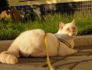 click for enlarge 1018 X 768 116,1 Kb picture