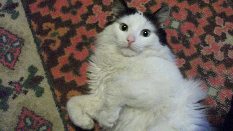 click for enlarge 1920 X 1080 166,8 Kb picture