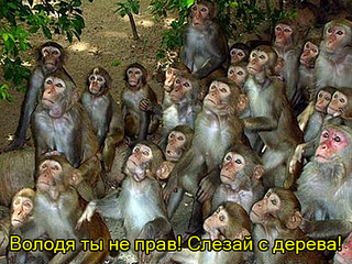 click for enlarge 480 X 360 211,3 Kb picture