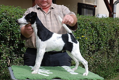 click for enlarge 1920 X 1285 562,4 Kb picture