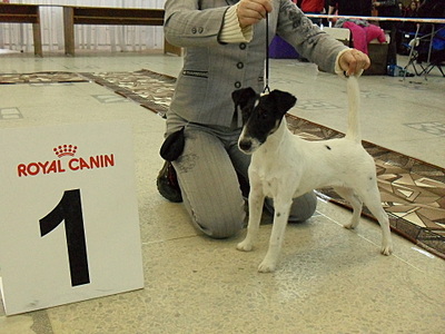 click for enlarge 1920 X 1440 781,6 Kb picture