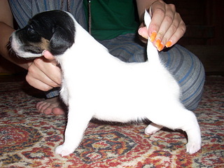 click for enlarge 1920 X 1440 697,1 Kb picture