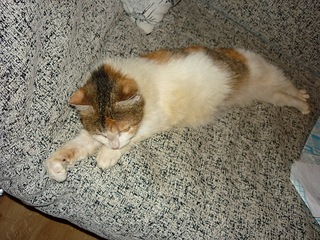 click for enlarge 604 X 453 125,9 Kb picture