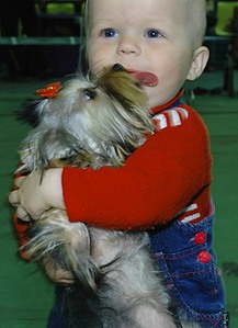 click for enlarge 580 X 800 82,9 Kb picture