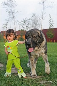 click for enlarge 333 X 500 40,0 Kb picture