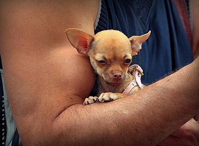 click for enlarge 800 X 590 135,9 Kb picture