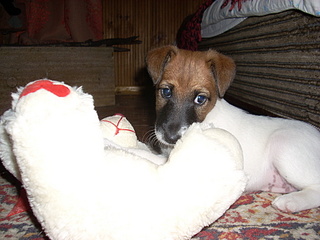 click for enlarge 1920 X 1440 718,5 Kb picture