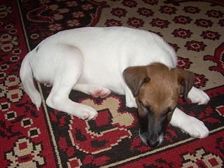 click for enlarge 1920 X 1440 712,2 Kb picture