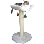 click for enlarge 600 X 600 36,5 Kb picture