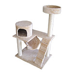 click for enlarge 600 X 600 33,3 Kb picture