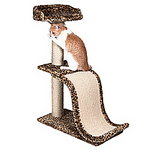 click for enlarge 240 X 240 35,8 Kb picture