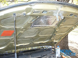 click for enlarge 800 X 600 135,4 Kb picture