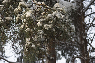 click for enlarge 1920 X 1280 773,2 Kb picture