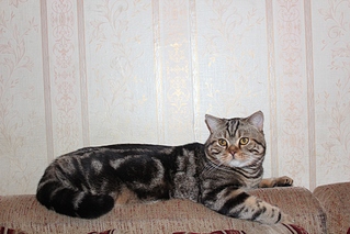 click for enlarge 1024 X 683 362,9 Kb picture