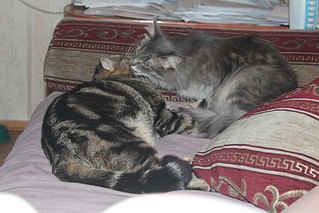 click for enlarge 1024 X 683 318,4 Kb picture