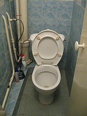 click for enlarge 1704 X 2272 313,7 Kb picture