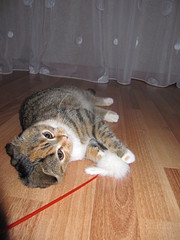 click for enlarge 1200 X 1600 487,5 Kb picture