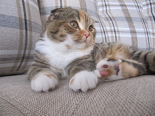 click for enlarge 1600 X 1200 678,9 Kb picture