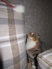 click for enlarge 1200 X 1600 767,3 Kb picture