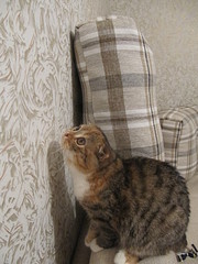 click for enlarge 1200 X 1600 613,3 Kb picture