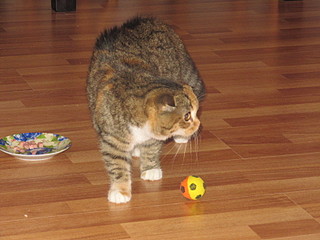 click for enlarge 1600 X 1200 627,2 Kb picture