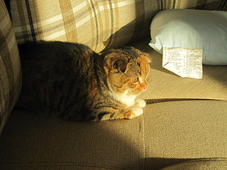 click for enlarge 1600 X 1200 801,6 Kb picture