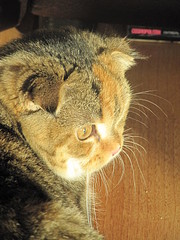 click for enlarge 1200 X 1600 733,4 Kb picture