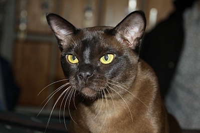 click for enlarge 800 X 533 274,1 Kb picture