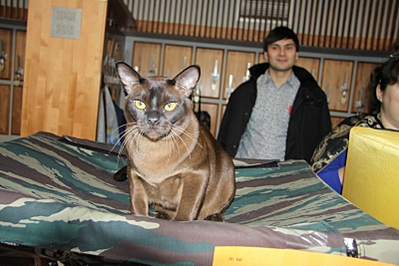 click for enlarge 800 X 533 333,4 Kb picture