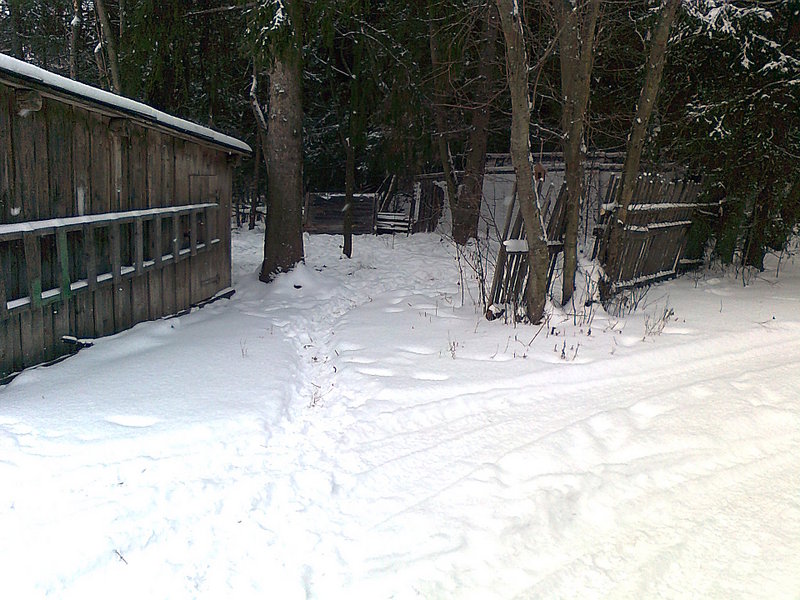 click for enlarge 1920 X 1440 526,9 Kb picture