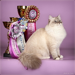 click for enlarge 1024 X 1024 489,7 Kb picture