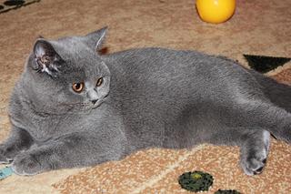 click for enlarge 1920 X 1280 325,4 Kb picture