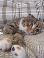 click for enlarge 1200 X 1600 625,0 Kb picture