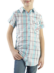 click for enlarge 285 X 381 60,7 Kb picture