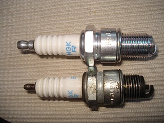 click for enlarge 1536 X 1152 506,0 Kb picture