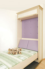click for enlarge 521 X 800 53,6 Kb picture