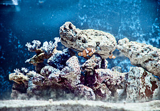 click for enlarge 1440 X 997 879,5 Kb picture