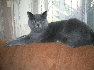 click for enlarge 1920 X 1436 412,8 Kb picture