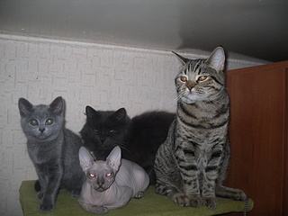 click for enlarge 1920 X 1440 762,6 Kb picture