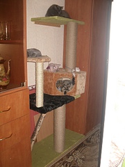 click for enlarge 1920 X 2560 233,3 Kb picture