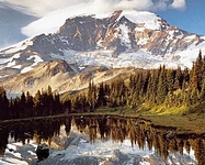 click for enlarge 300 X 240 80,1 Kb picture
