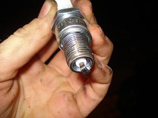 click for enlarge 1536 X 1152 130,7 Kb picture