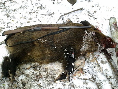 click for enlarge 1920 X 1440 537,6 Kb picture